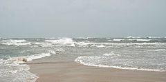 Cape_Lookout_Point_-_2013-06_-_09